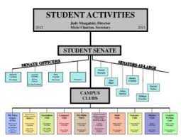 Senate Organizational Chart Middlesex Community College