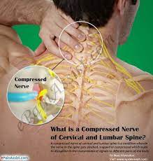 Pin On Back Pain