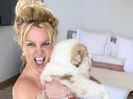 Britney Spears: Sie zeigt sich komplett nackt – nur mit Hund bekleidet |  STERN.de