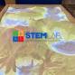 IMAG Museum Homeschool STEMLab Program event image