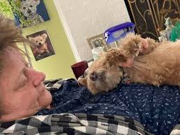 Fundraiser for Cynthia Mcfarland by Wray Crawford : Ck McFarland disability  and assistance fund