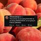 Peaches, Pedro Pascal, and Public Libraries: A Movie Crafternoon