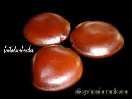 Image result for Entada chrysostachys