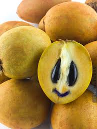 Image result for Manilkara zapota