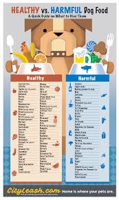 Printable Healthy And Harmful Food For Dogs Poster