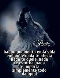Lobos Y Indios Frases De Sabiduria Frases De Vida Cortas Frases De Lobos