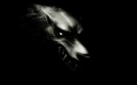We present you our collection of desktop wallpaper theme: Im 337 Cool Black Wolf Wallpaper 1680x1050 Px Picserio Com