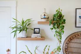 In fact, it's rare it can be grown indoors without solid exposure to a bright window. Easy Plants To Grow Indoors Apartment Therapy