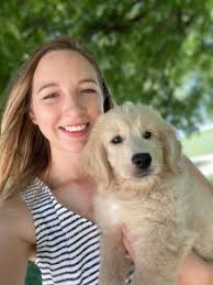 With many goldendoodle puppy mills popping up in minnesota and across the united states, it can be tiresome and overwhelming to find responsible goldendoodle breeder. Goldendoodle Puppies In Minnesota Mn Top 5 Breeders We Love Doodles