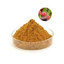 High Quality Rhodiola Rosea Extract - 3% Rosavins, 1% Salidroside