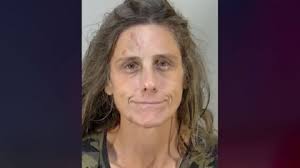 Florida woman allegedly drove golf cart drunk, started passing out