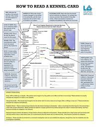 Good Info From L A Animal Services Many Shelters Use Similar Cards Lostdogs California Losing A Dog Losing A Pet Dogs