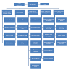 nwhc organization chart