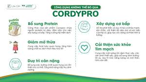 CORDYPRO - Thực phẩm bổ sung Protein thực vật Cordypro