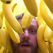 Tom Wilhelm (@tomwilhelm) • Instagram photos and videos