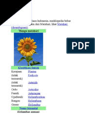 Maret 16, 2012 pukul 2:31 am. Bunga Matahari Docx
