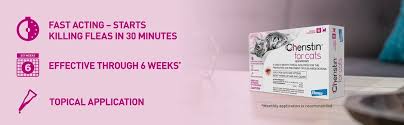 Amazon Com Cheristin For Cats Topical Flea Prevention Starts Killing Fleas In 30 Minutes 6 Doses Pet Supplies
