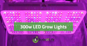Led grow light comparison 2018. Top 10 Best 300watts Led Grow Lights In 2018 Complete Reviews Led Grow Lights Grow Lights Led