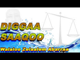 40+ listes de dr.zelalem abera walalloo: Download Diggaa Saaqoo 3gp Mp4 Codedwap