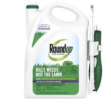 Chemical methods to remove dollar weed Lawn Weed Killer Ideal For Southern Lawns Roundup