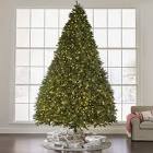 The World's Best Prelit Douglas Fir