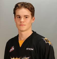 Wheat Kings sweep pair from Warriors