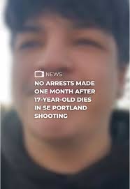 Gresham Mother Seeks Answers After Son's Shooting