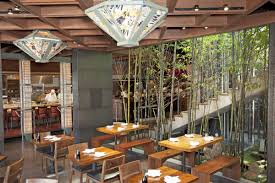 Image result for Denekia