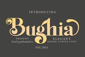 Super clean and minimal and perfect for modern design. Bughia Serif Font Befonts Com