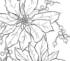 The spruce / wenjia tang take a break and have some fun with this collection of free, printable co. Poinsettia Fruit For Poinsettia Day Coloring Page Coloring Sky