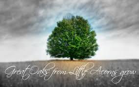 Don't tell lies, not even small ones. Quotes About Acorns And Oaks Quotesgram