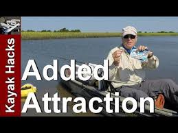 Its diet consist mainly of fish and crustaceans. How To Rig A Shrimp For Fishing So It Stays On Fishbites And Miracle Thread More Info On Https 1 W W Co Kayak Fishing Tips Kayak Fishing Fishing Videos