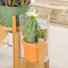 Oggi kasanovarappresenta il primo player italiano nella vendita di casalinghi e articoli per la casa, con un fatturato in continua. Photos At Kasanova Alessandria Piemonte