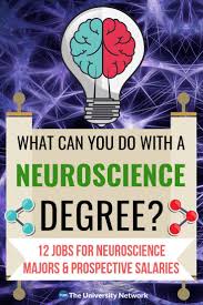 12 Jobs For Neuroscience Majors The University Network Neuroscience Degree Jobs Doctor Of Osteopathic Medicine