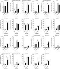 Skip to main search results. Diabetes Causes Marked Inhibition Of Mitochondrial Metabolism In Pancreatic B Cells Nature Communications