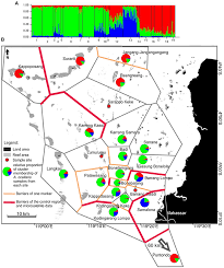 Frontiers Small Scale Genetic Population Structure Of