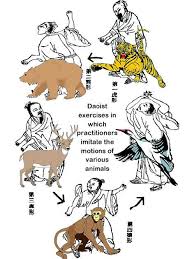 Report five animals qigong leaflet. Five Animal Frolics Qigong Pdf Free Download Ebook And Induced Info