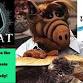 Bobcat Live at Waters Edge Winery, Kalispel MT