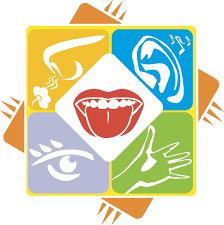 Explore the moment, the setting, and the experience. Five Human Senses And Perception Sight Hearing Smell Taste Touch