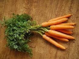 Fruits Et Legumes Recommandes Pour Le Lapin Lapin Et Lapin Nain