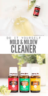 Mold on drywall may result from a leaking or broken pipe, a leak in the roof, or other water damage to the wall. How To Get Rid Of Mold On Drywall Arxiusarquitectura