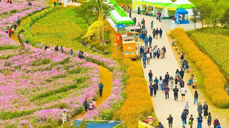 화순적벽문화축제 Photo 7