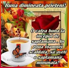 O saptamana frumoasa have a great week. O Saptamana Frumoasa Va Doresc Gabilaura
