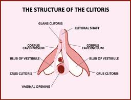 Genau wie das kvv (klitoris vorhaut vertikal) und das kvh (klitoris vorhaut horizontal) hat dieses piercing eine. Pruritus Vulvae Ursachen Symptome Behandlung Medlexi De