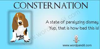 Examples of consternation in a sentence: Meaning Of Consternation