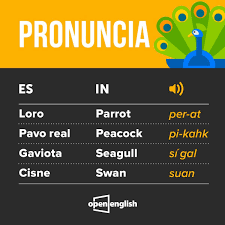 Pin De Roevad The Netherlands En Archivo Vocabulario En Ingles Basico Educacion Ingles Vocabulario En Ingles