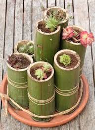 Deco Vegetale En Bambou Et Moi Alors Dans Tout Ca Deco Bambou Deco Jardin Et Deco Jardin Zen