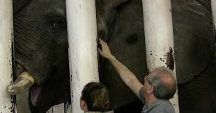 Once you graduate from school, you will have to take the national board exam in order to become licensed. Meet Zoo Veterinarians Vet Set Go