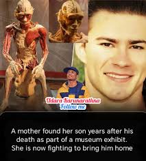 What process is occurring in this image?