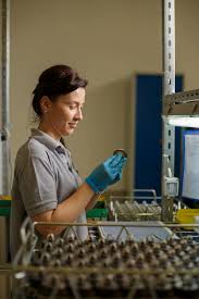 Locuri de muncă in românia și străinătate. Galerie Foto O ImportantÄƒ Companie Auto Face InvestiÅ£ii Masive In Cugir Vor Fi Create 200 Noi De Locuri De MuncÄƒ